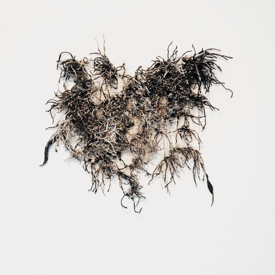 Ich geh' jetzt Staub aufwirbeln